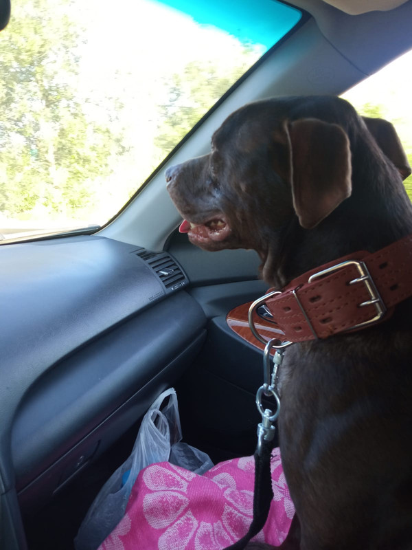 0D555C32-C2BF-4B4C-9910-31D67940CAF7