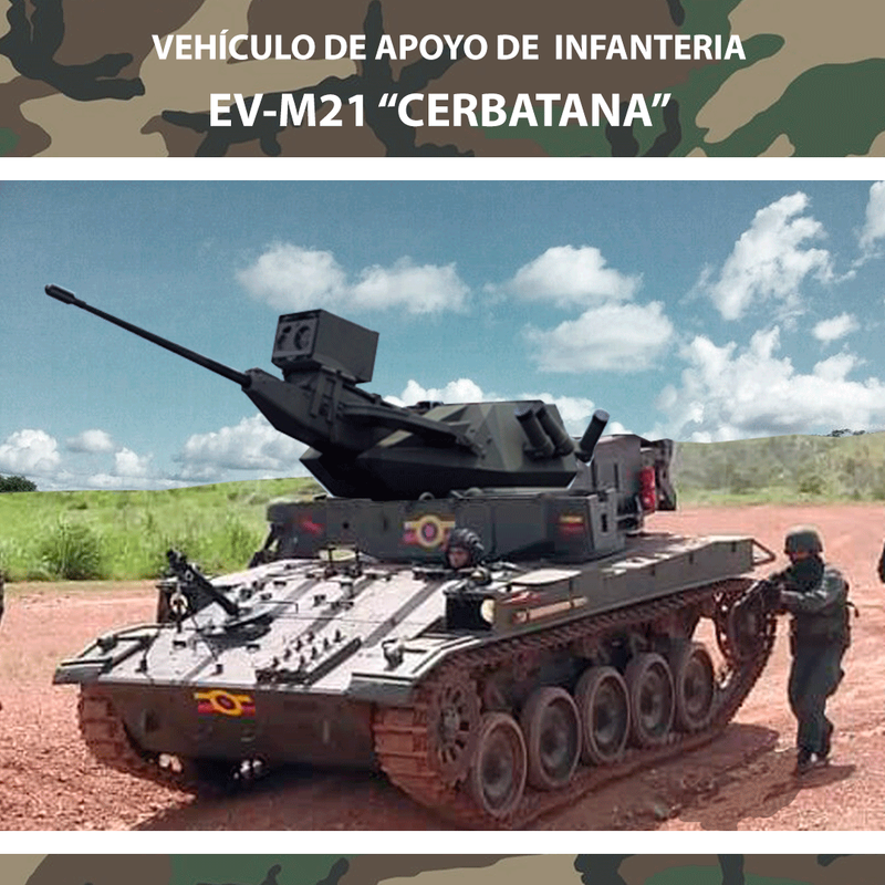 Repotenciación para el sistema AMX-13 C-90 y el sistema v-100. - Página 14 CERBATANA