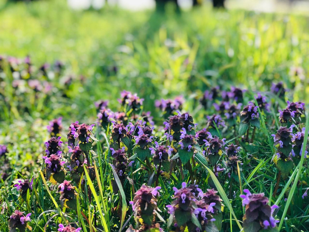 94F25E3E-6288-4A77-8383-54831C18F5D9