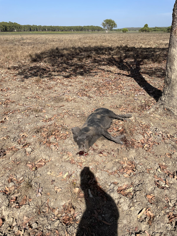 A954541C-D486-45CA-9186-C9E71DDA5581