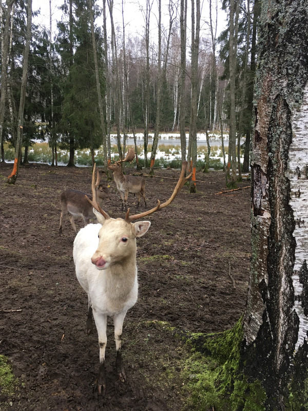 24862C54-E313-4890-BCCE-255A2E7A865B