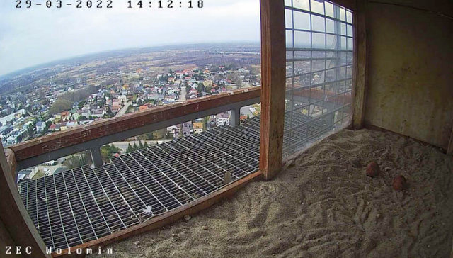 ZEC Wołomin Przechwytywanie-w-trybie-pe-noekranowym-29-03-2022-212518