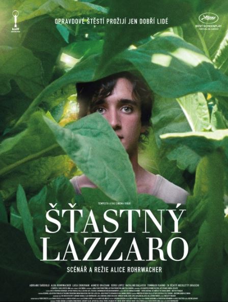 FP-371-42-lazzarofelic