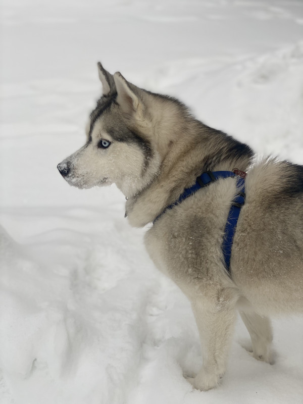 DC2C85D6-CC1A-4F3E-AC1A-8532473CBF58