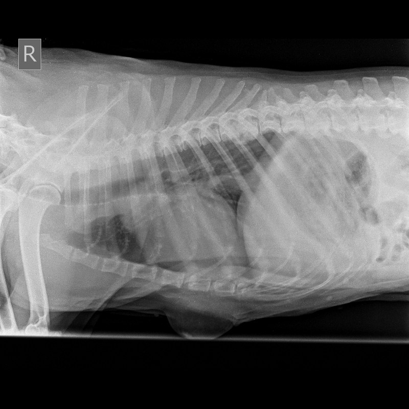 10DB9FE5-91E7-4F46-8D9C-57CE59D28160