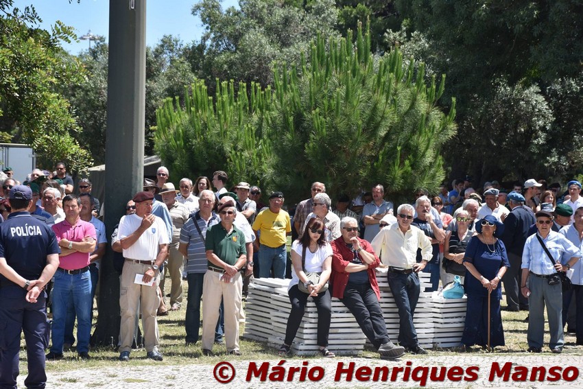 18768588_1489130974473132_6956498343836425353_o