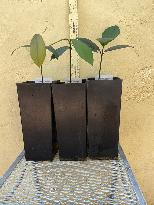 7F38F40B-E865-4569-93BE-626B37CF9BCB