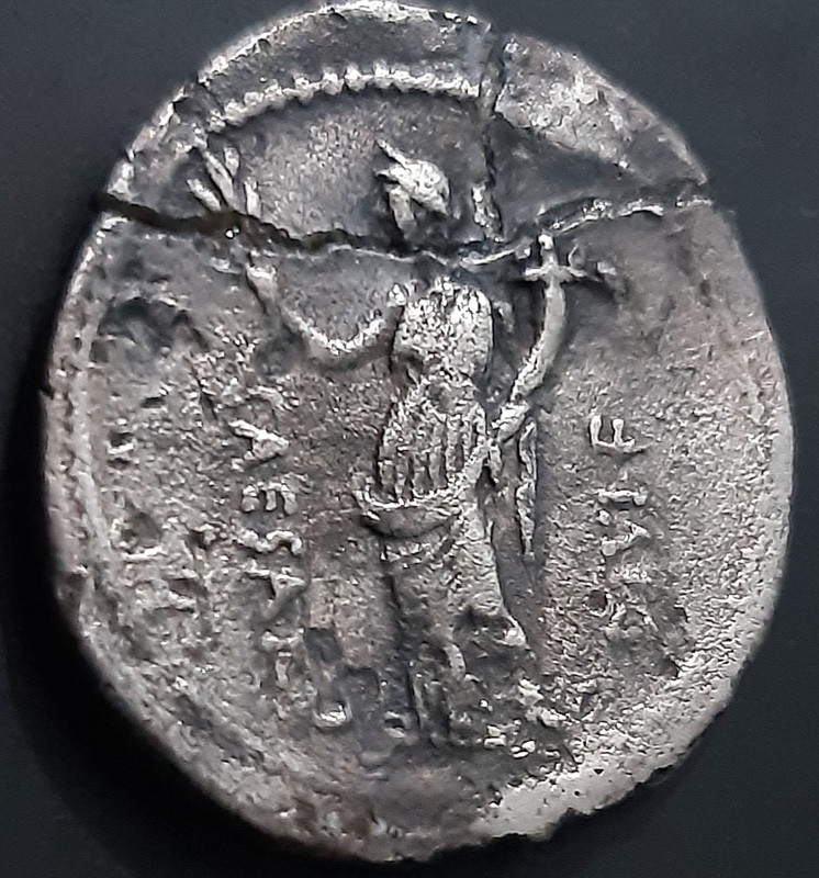 Denario de Octavio. CAESAR DIVI F. Paz a izq. Brudisio o Roma 20221207-135601