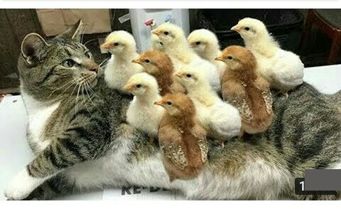 IMG_20201215_222837_918