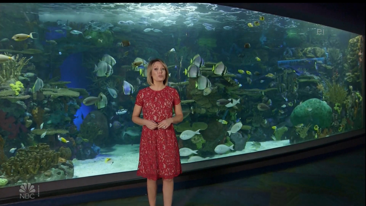 11.07 - 15.00.00 - Earth Odyssey With Dylan Dreyer. The world's smart....ts_snapshot_01.05.19.023