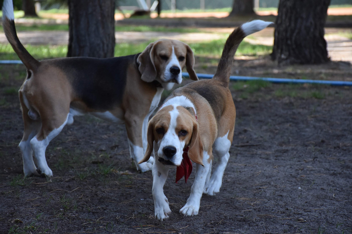 BBFE37DA-453C-42BD-9D9A-553542C5C7DC