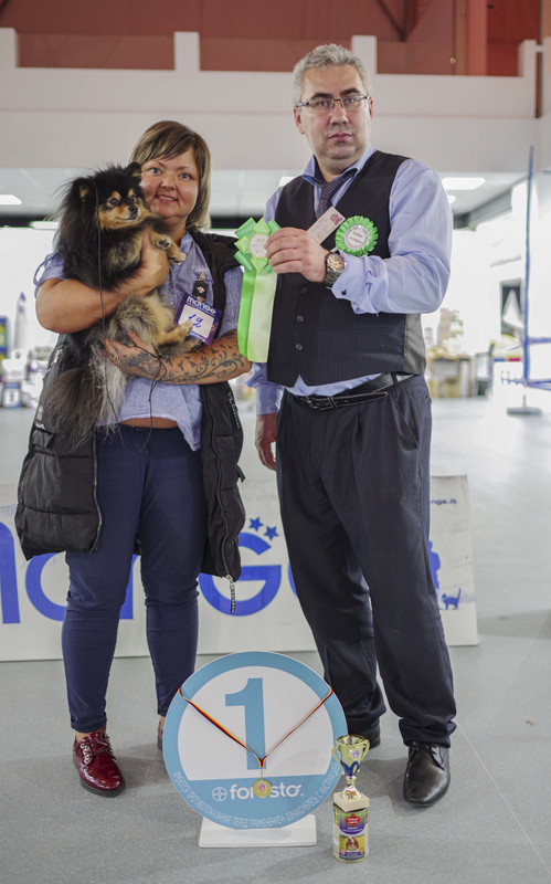 IMGP1745 - копия