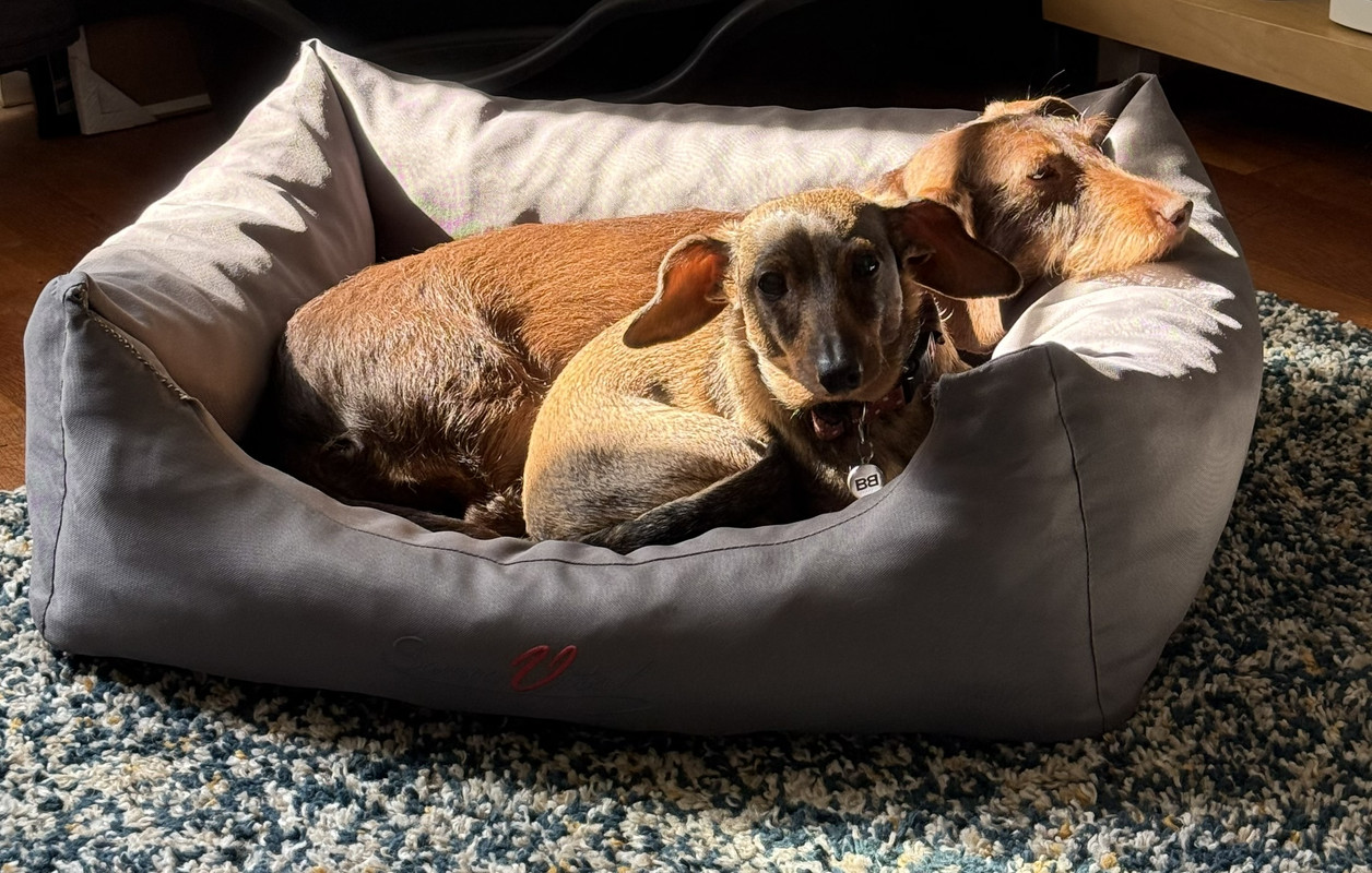 [Image: IMG-2678.jpg]