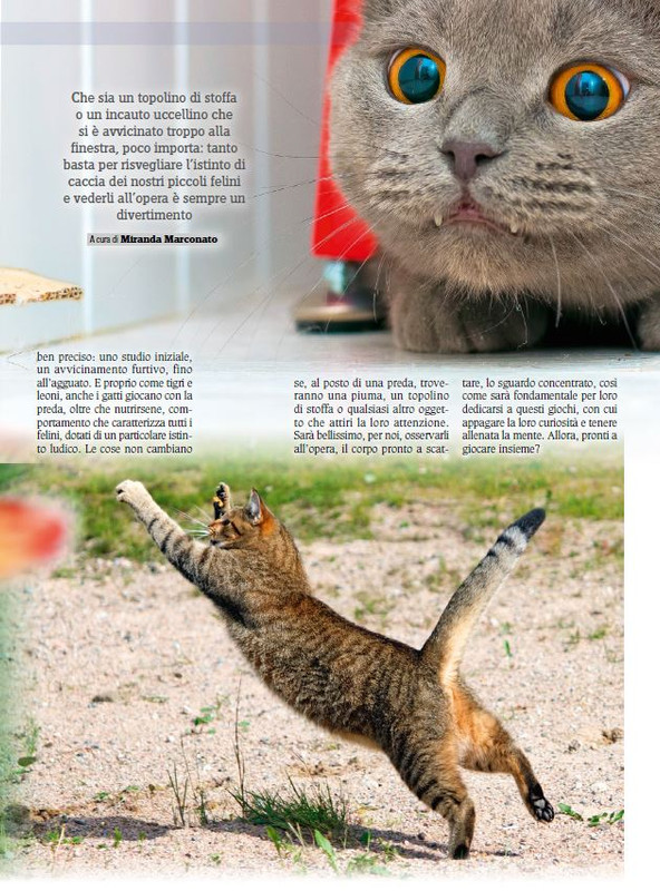 Ga Ma Dic 2017 - Gen 2018 (10)