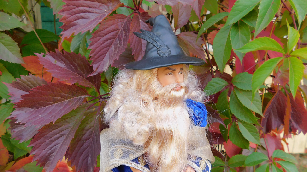 Осенне дачное-Мерлинское 030