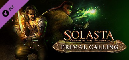 Solasta Crown of the Magister Primal Calling-CODEX