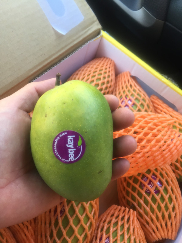 A232EA63-1804-4097-87E4-10F551B6E196