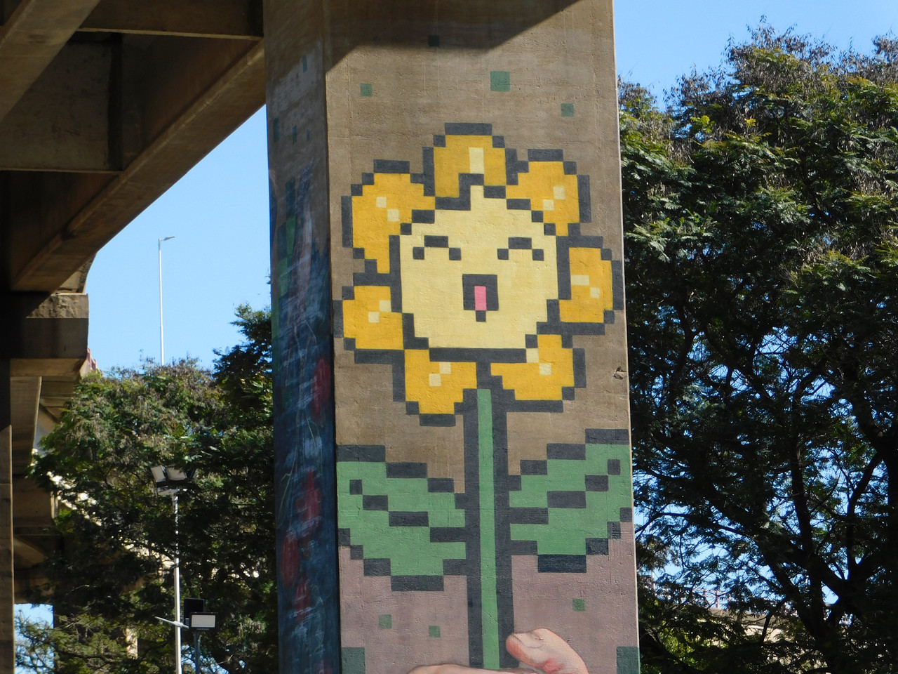 A beautiful cultural expression [Esp/Eng].