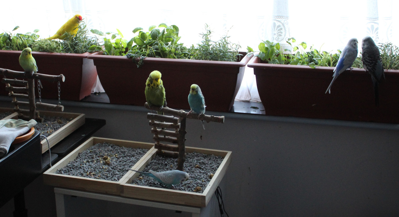 20231117100504 IMG 1832 — Postimages