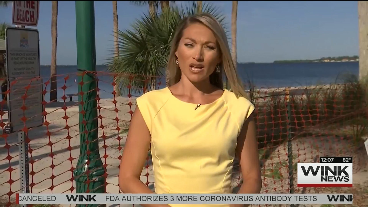 28 April - 17.00.00 - WINK Noon News..ts_snapshot_10.08_[2020.04.28_18.41.25]