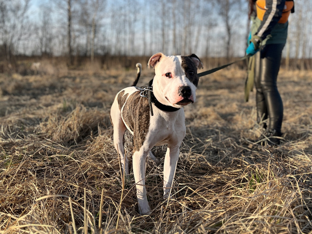 68B25D97-104F-40CA-895F-80A6EEEC5D44