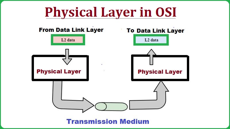 Physical Layer in OSI Model Physical Layer in OSI Model