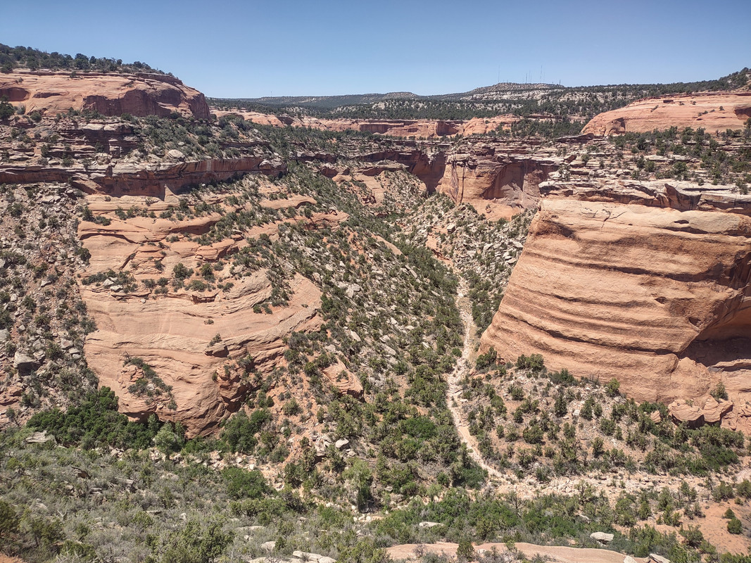 IMG_20250620_132834896_HDR