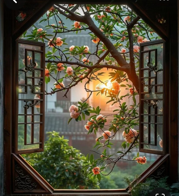 Screenshot_20240521_205158_Pinterest