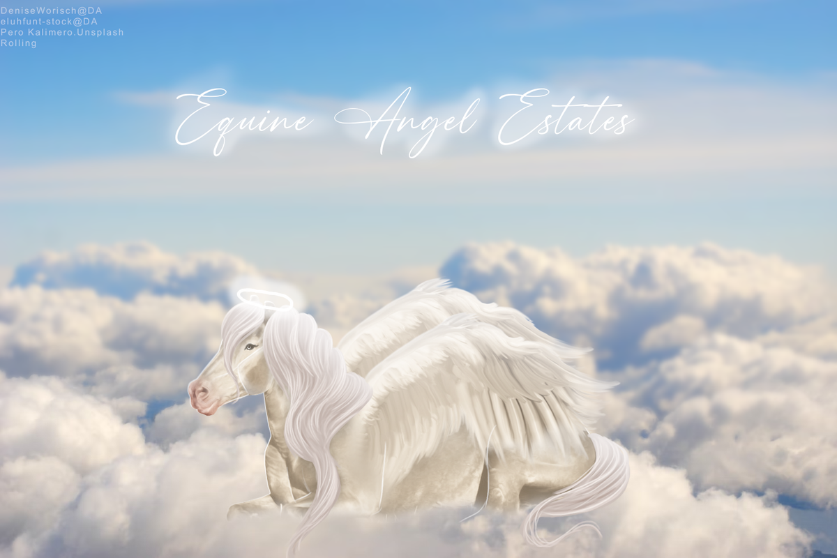 Equine-Angel.png