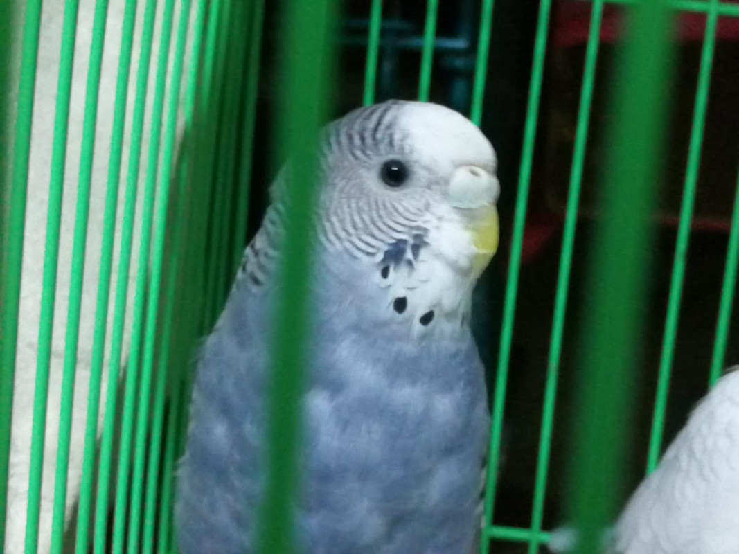 IMG-20180714-WA0004