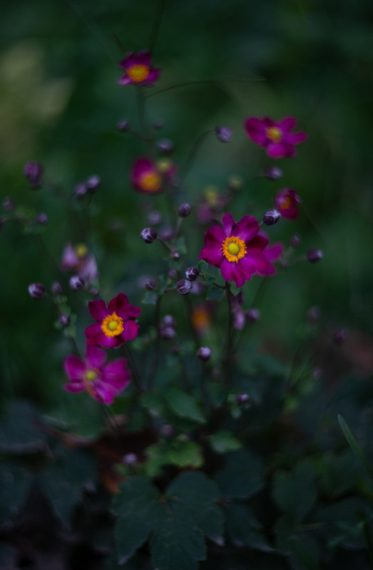 IMG-ed42a2982e7b447995d5059ef83e4ed1-V