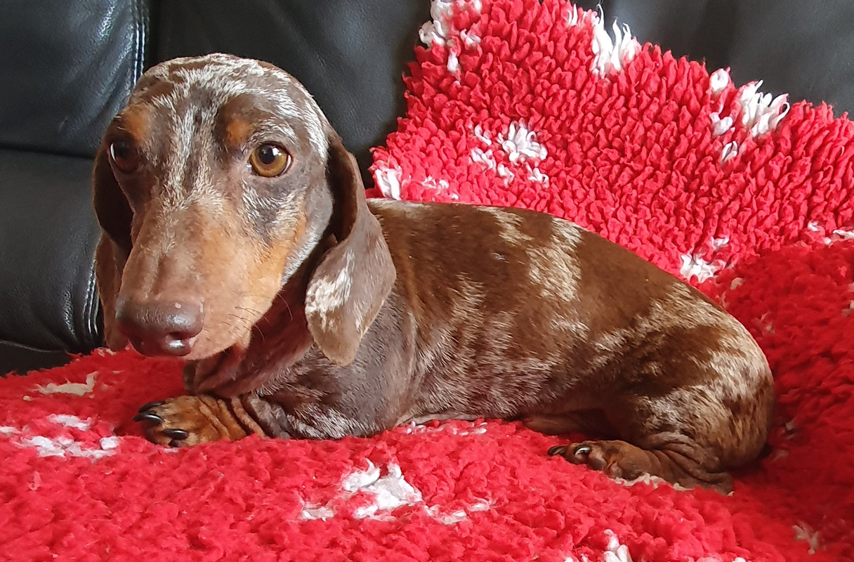 [Image: 20211008-154659.jpg]