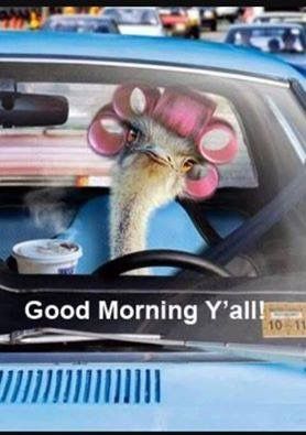 Good Morning, Good Afternoon, Good Evening, Good Night, Good Day!