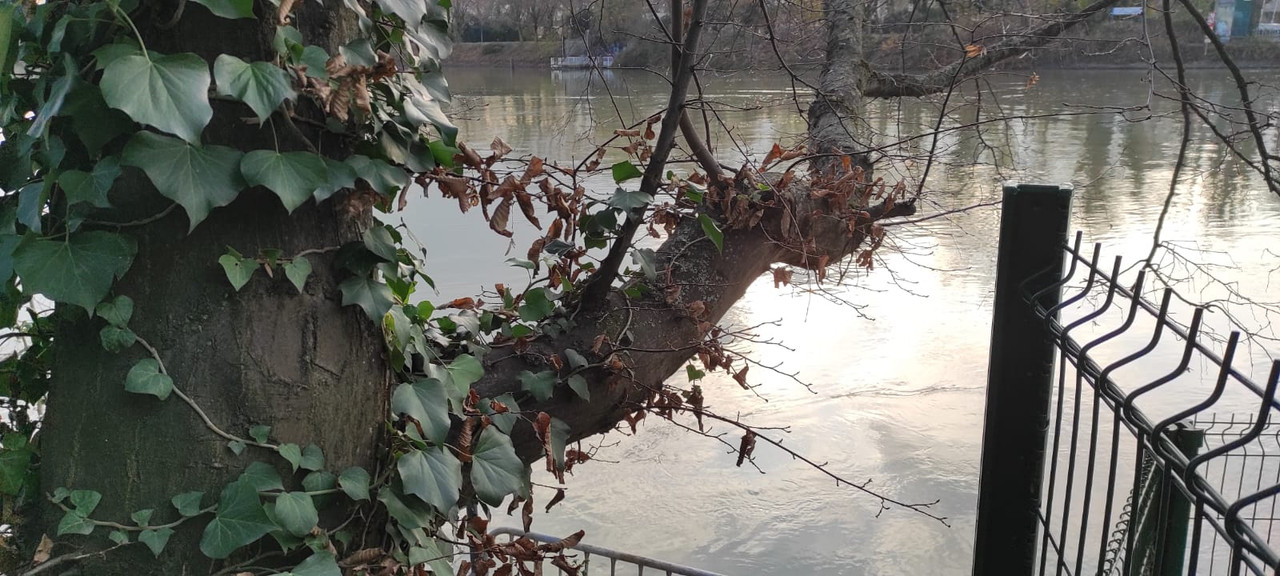 WhatsApp Image 2023-12-06 à 16.35.27_711c6f00