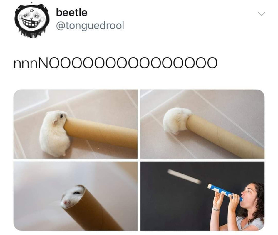 84384447_175287157030413_1848284260381753344_n