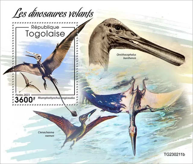 2024 04 TOGO FLYING DINOSAURS