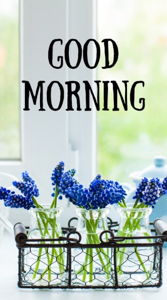 vartotojo �kelta nuotrauka