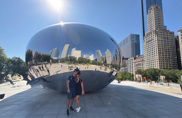 Caminando por Chicago: Esculturas, the Bean, lugares de películas y Torre Willis - Boston y Chicago (29)