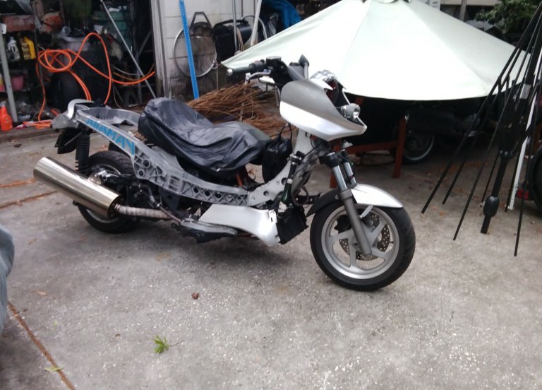 my naked silverwing project IMG_20220311_180436_01