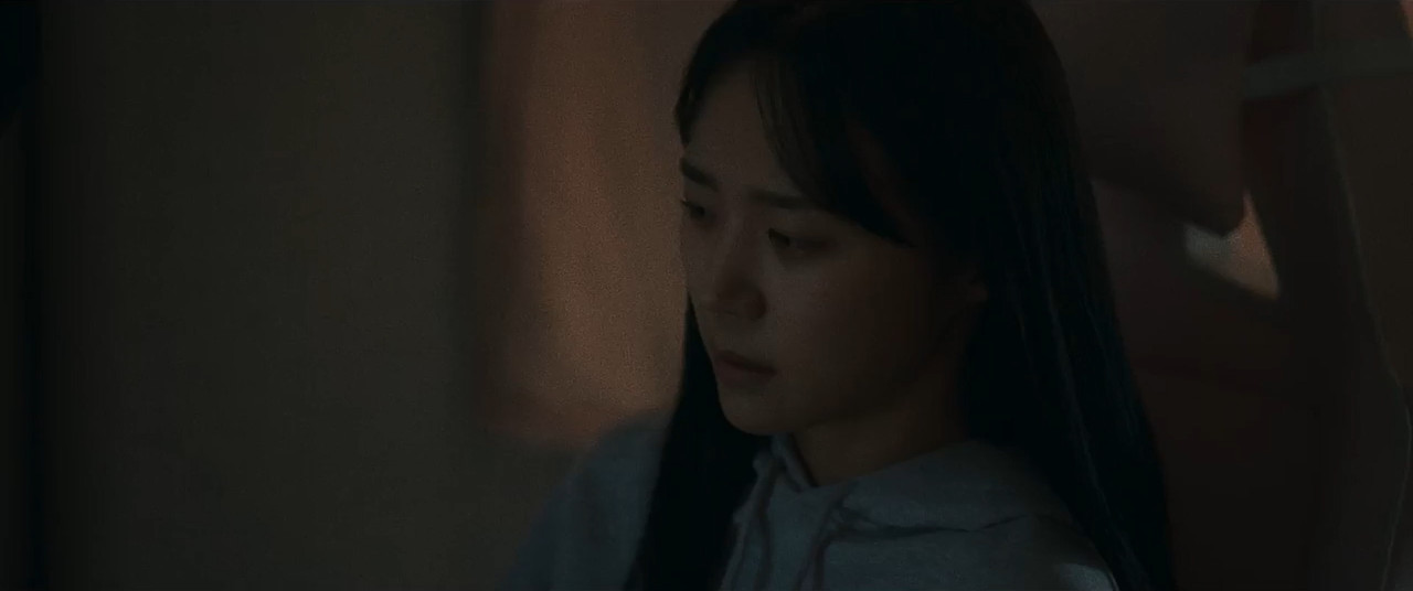 Following 2024 WebRip [Hindi + Korean] 480p 720p ESub Screenshot