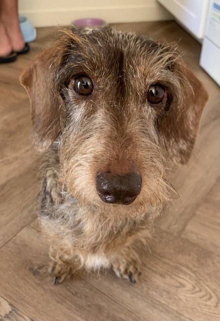 [Image: IMG-6863.jpg]