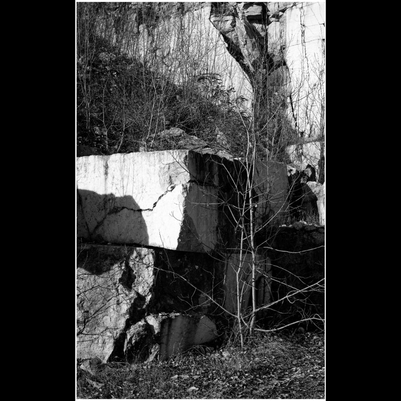 Square Quick 20251221201250896