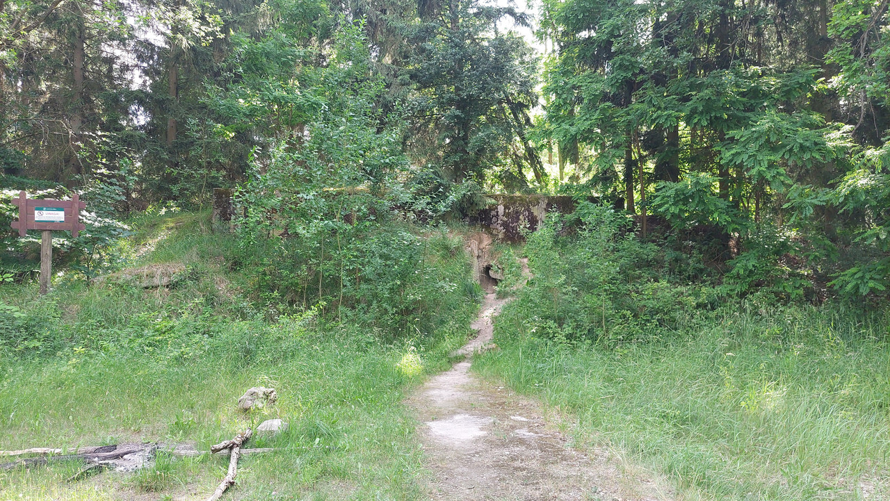 05.01 - 20250619_155321 (TomaszK)