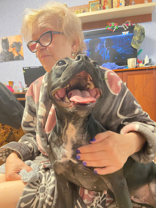 FDBE290D-ADBA-412A-8DEB-322C3491E3A0