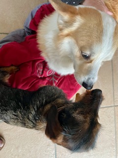 [Image: IMG-20240228-204819.jpg]