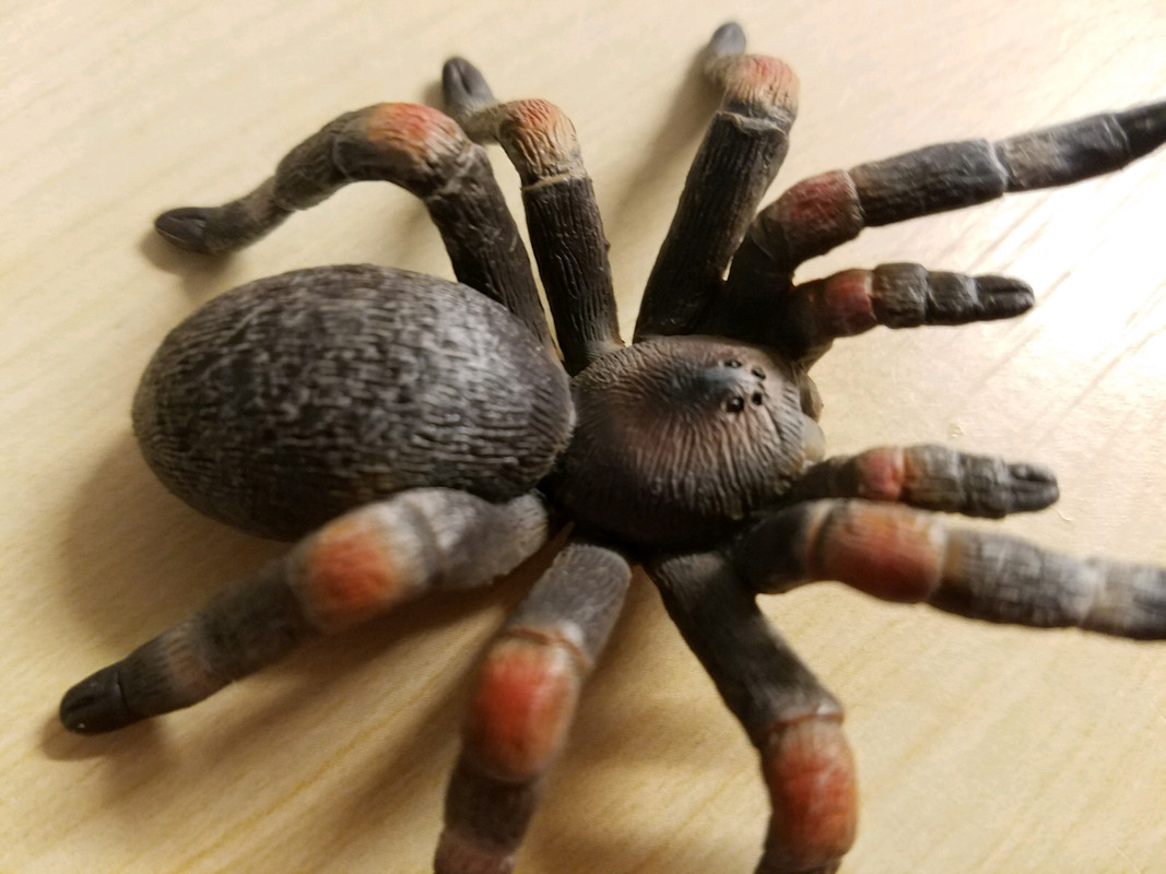 Tarantula (Mojo Fun) 20190424-174627