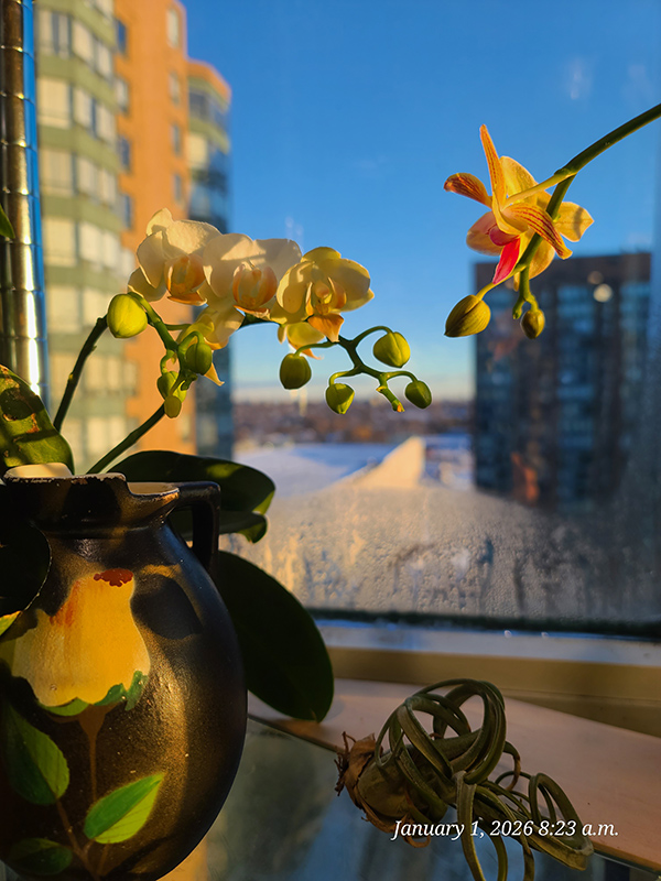 [Image: 20260101-082320.jpg]