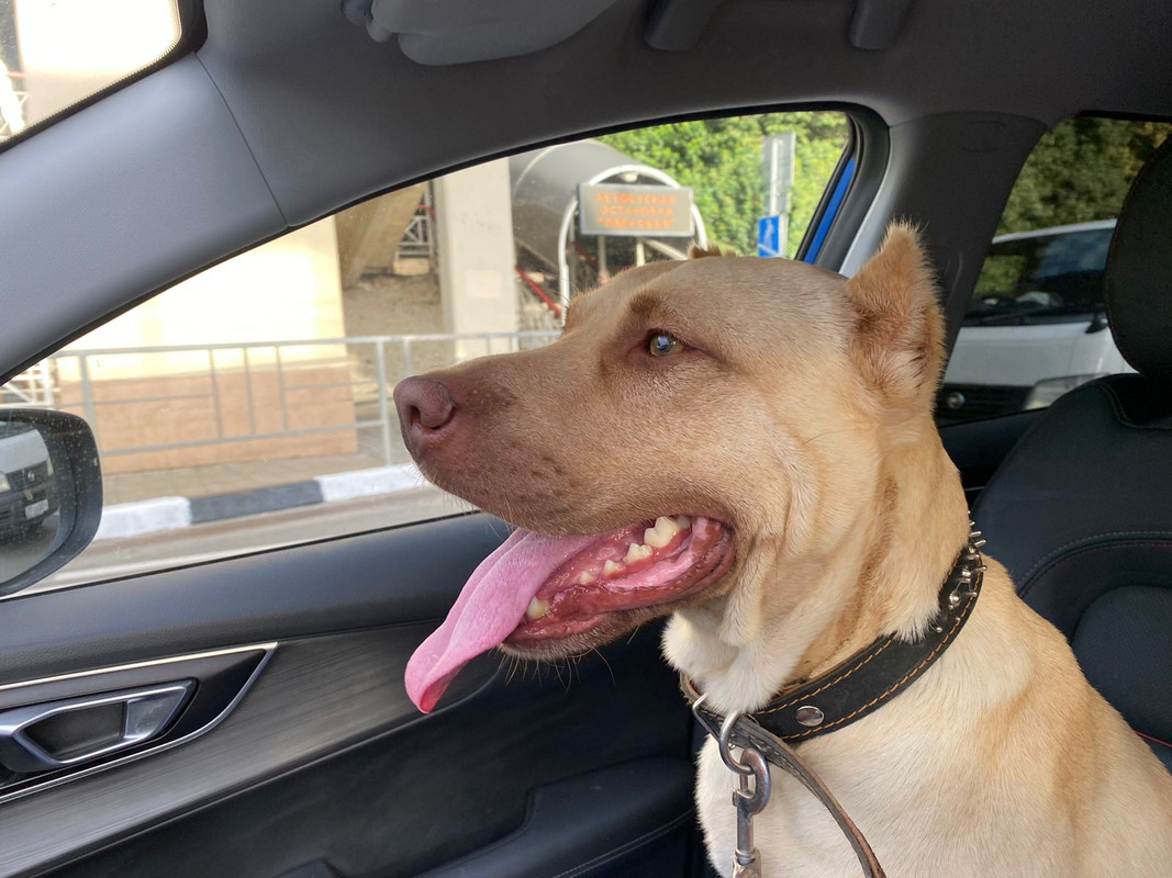 WhatsApp Image 2022-09-16 at 20.22.28 (2)