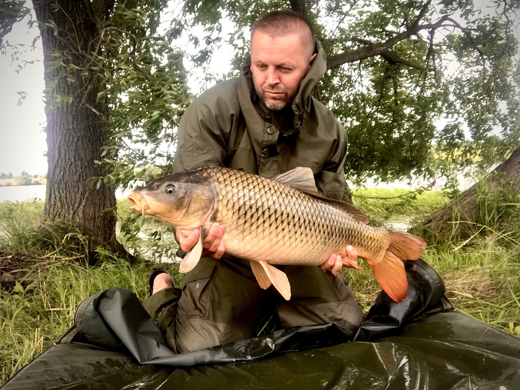 B9D5FD7A-509A-4268-9AAD-0073F2CD872C