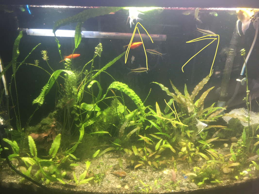 1AB68F53-452D-42B8-974C-EDCAD3C5A41D